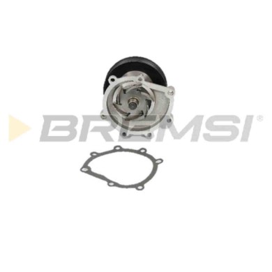 WP0628.JPG Pompa Acqua Chevrolet Epica Wp0628 Bremsi