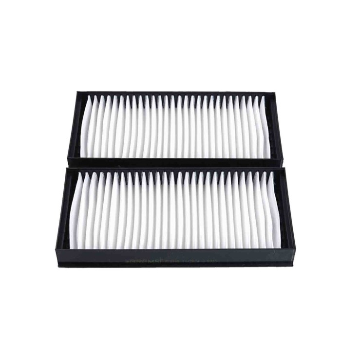 FC0948.JPG Filtro Aria Abitacolo Bmw X6 X5 Fc0948 64 31 6 945 585 Filtro Particellare Bremsi