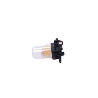 FE2452.jpg Filtro Carburante Aixam 500 2 Volumi/coda Spiovente 500 Cabriolet 500 Cassone/furgonato/promiscuo A.751 Fe2452 6a3205