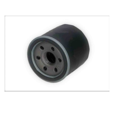FL2467.JPG Filtro Olio Hyundai I10 Fl2467 26300-02500 Filtro Ad Avvitamento Bremsi
