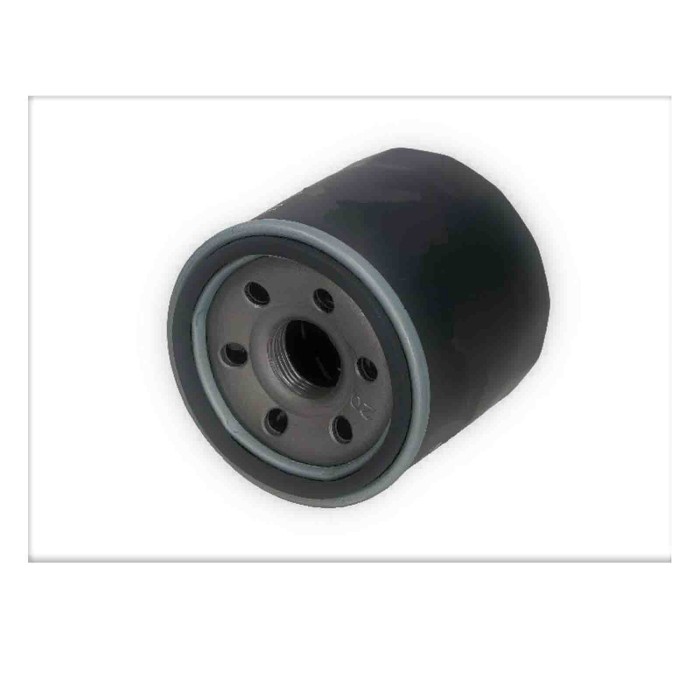 FL2467.JPG Filtro Olio Hyundai I10 Fl2467 26300-02500 Filtro Ad Avvitamento Bremsi
