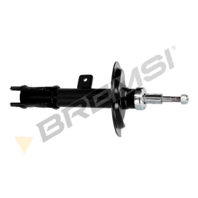 GUIDA_ALLA_SCELTA.JPG Ammortizzatore Anteriore Destro Citroen C4 I (lc) A Doppio Tubo Sa0308 5202qh Ammortizzatore Tipo Mcpherso