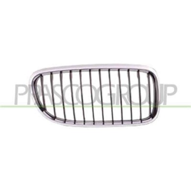 BM0262003_1.JPG Griglia Radiatore Destra Per Bmw 3 Series - E90/e91 Dal 2009 Al 2011
