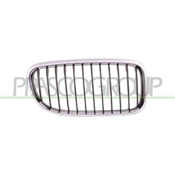 BM0262003_1.JPG Griglia Radiatore Destra Per Bmw 3 Series - E90/e91 Dal 2009 Al 2011