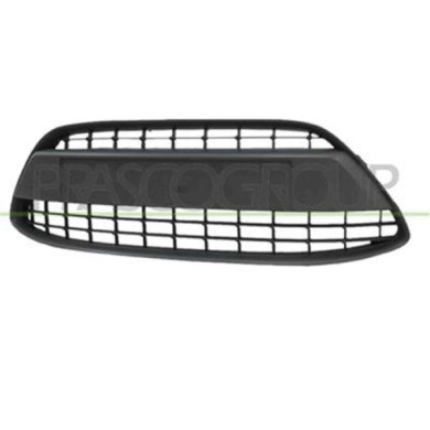 FD3442120_1.JPG Griglia Centrale Paraurti Per Ford Fiesta Mk Vi Dal 2008 Al 2012