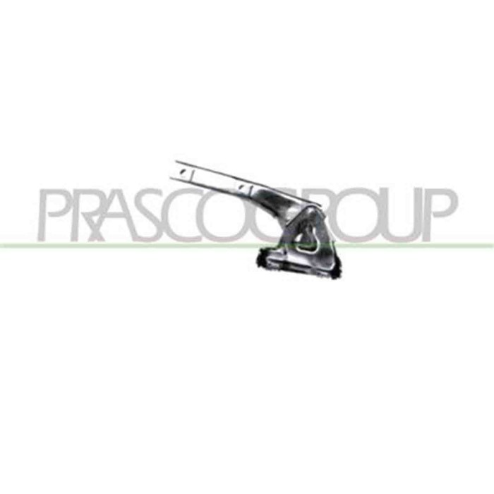 FT1333703_1.JPG Cerniera Cofano Destra Per Fiat Punto Dal 1999 Al 2003