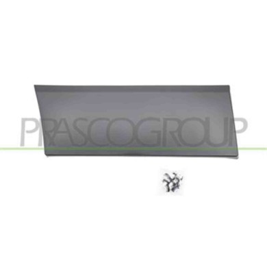 FT9001455_1.JPG Modanatura Laterale Inferiore Nera Per Nissan Nv 300 (x82) Dal 2016