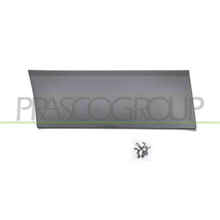 FT9001455_1.JPG Modanatura Laterale Inferiore Nera Per Nissan Nv 300 (x82) Dal 2016