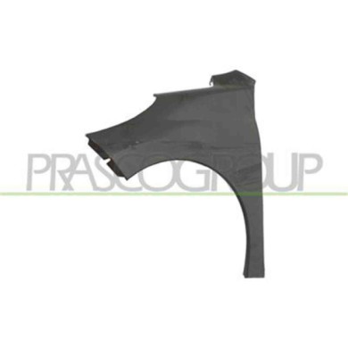 PG3203014_1.JPG Parafango Anteriore Sinistro Per Peugeot 207 Dal 2006 Al 2009
