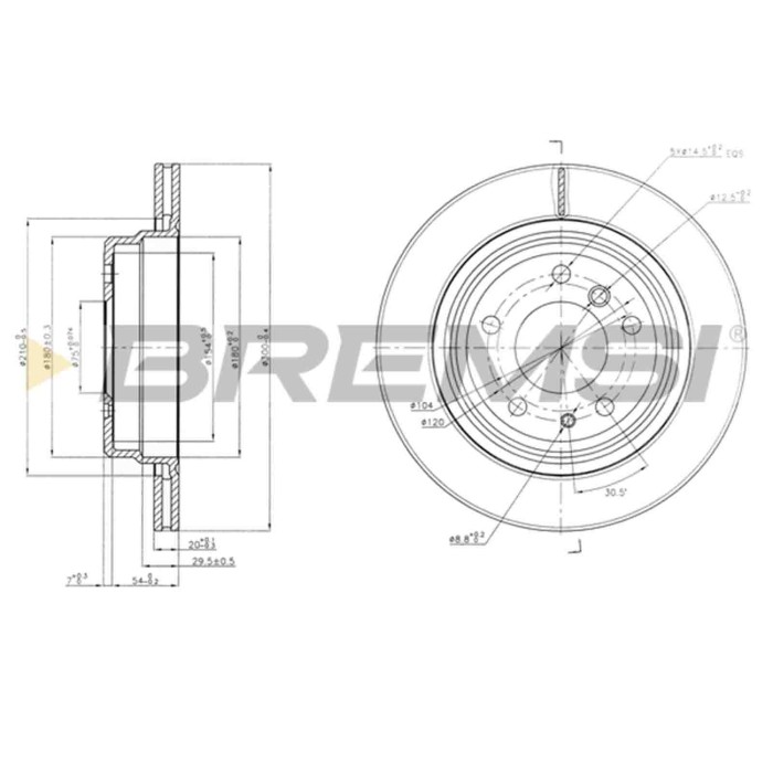 CD6955V.JPG Disco Freno Posteriore 92071300 Bmw 5 5 Touring Ventilato