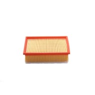 Filtro Aria Citroen C4 Coupú (la) Fa1149 1444 Fj Cartuccia Filtro Bremsi