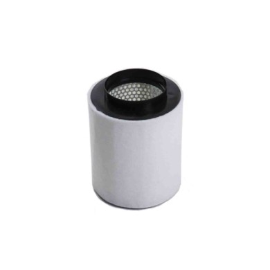 FA2405.jpg Filtro Aria Audi A8 Fa2405 Cartuccia Filtro Bremsi