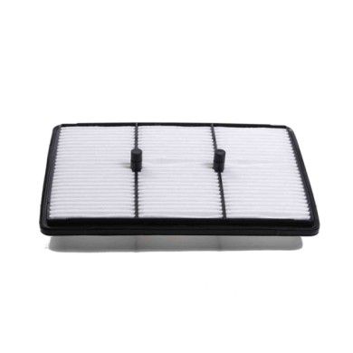 FA2505.jpg Filtro Aria Hyundai Kona Kona Cassone/suv Fa2505 28113-cm100 Cartuccia Filtro Bremsi