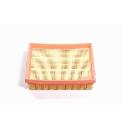 FA2582.jpg Filtro Aria Ford Kuga Iii Fa2582 2368605 Cartuccia Filtro Bremsi