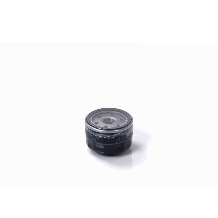 FL0310.jpg Filtro Olio Fiat Stilo Van (192) Fl0310 46796687 Filtro Ad Avvitamento Bremsi