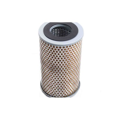 NEUTRO.jpg Filtro Olio Man Ng Fl1416 81055040025 Cartuccia Filtro Bremsi