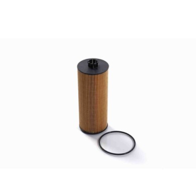 NEUTRO.jpg Filtro Olio Man F2000 Fl1711 51055040096 Cartuccia Filtro Bremsi