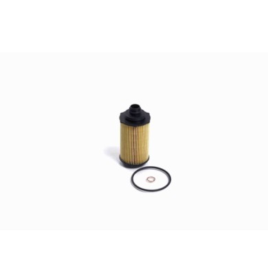 NEUTRO.jpg Filtro Olio Ssangyong Xlv Suv Fl2455 67318-03009 Cartuccia Filtro Bremsi
