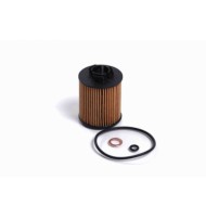 Filtro Olio Hyundai Tucson I20 Kia Sportage V Fl2487 26350-2m100 Bremsi