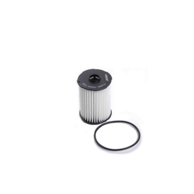 NEUTRO.jpg Filtro Olio Fiat Ducato Furgonato Ducato Pianale Piatto/telaio Ducato Autobus Fl2589 46349008 Bremsi