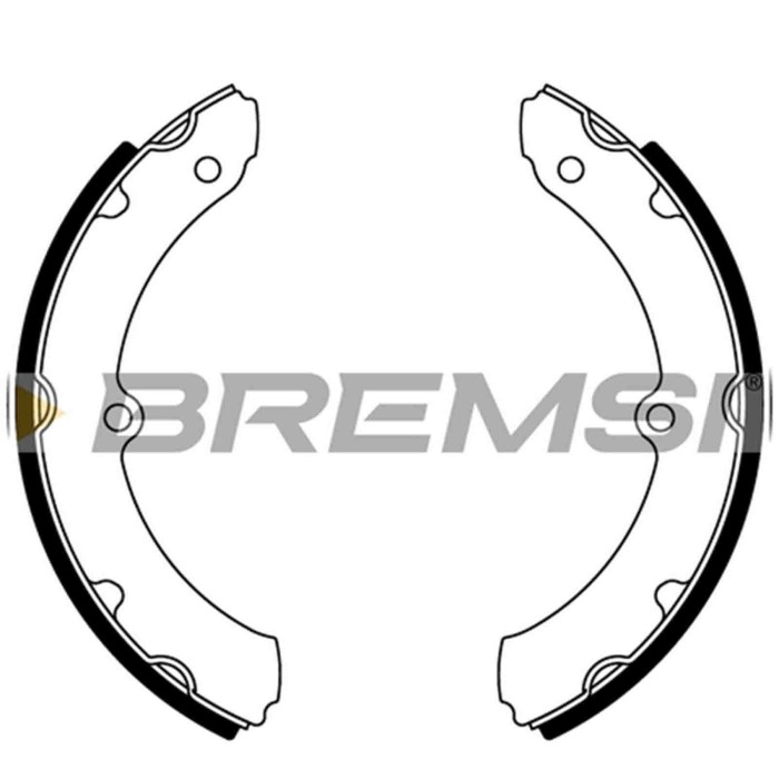 GF0990.JPG Kit Ganasce Freno Anteriore Toyota Dyna Pianale Piatto/telaio Gf0990 449436160 S.f. Akebono Bremsi