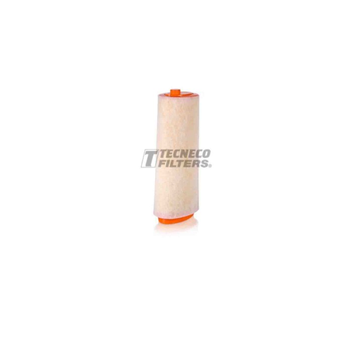 140660-large_default.jpg Filtro Aria Bmw 3 330xd 2000 01-2003 02 Tecneco