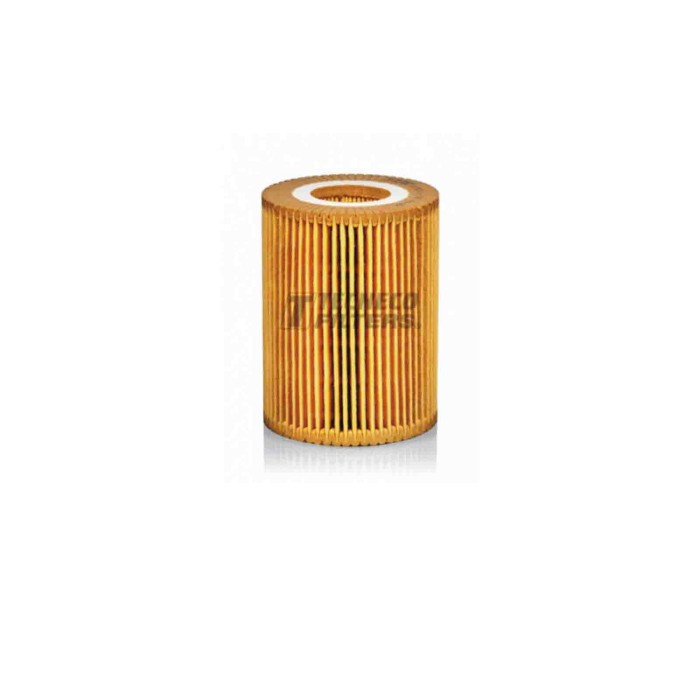 142586-large_default.jpg Filtro Olio Bmw 3 330xd 2000 01-2003 02 Tecneco
