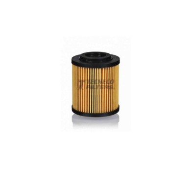 141228-large_default.jpg Filtro Olio Opel Combo Tour 1.7 Di 16v 2001 10-2004 06 Tecneco