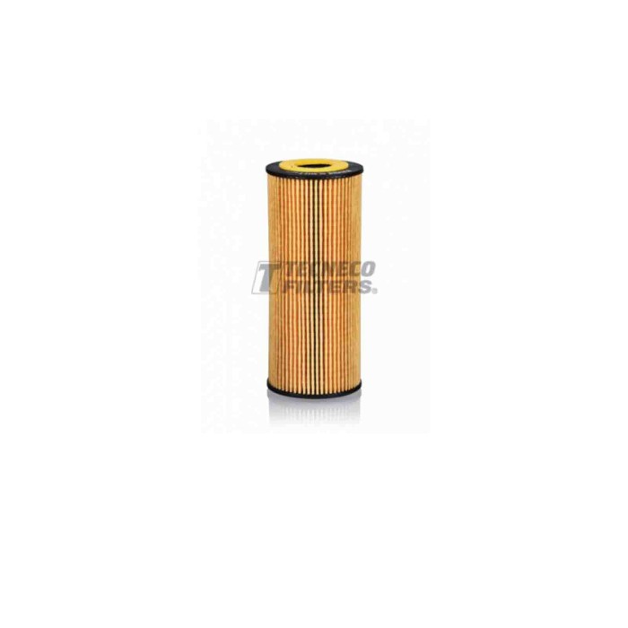 142879-large_default.jpg Filtro Olio Bmw 3 Touring 320d Xdrive 2009 07-2012 06 Tecneco