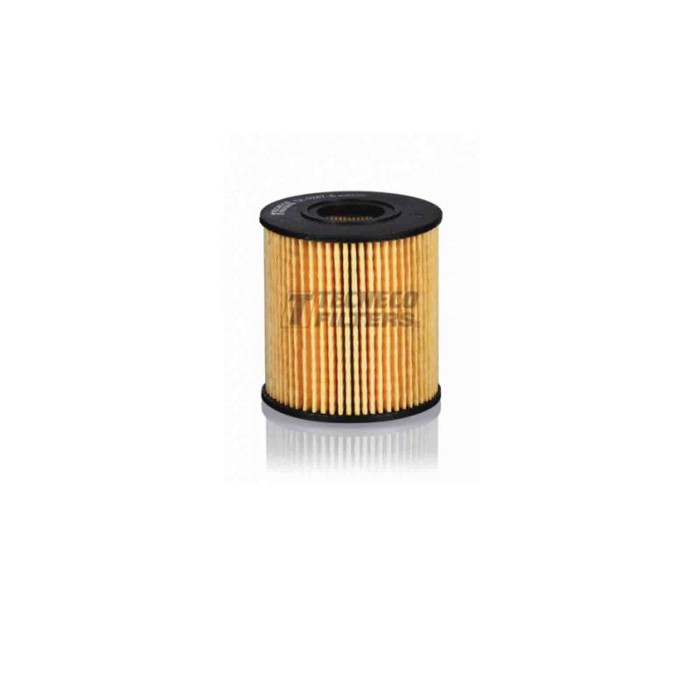 142501-large_default.jpg Filtro Olio Peugeot Boxer Furgonato 2.2 Hdi 130 2011 03-2019 12 Tecneco