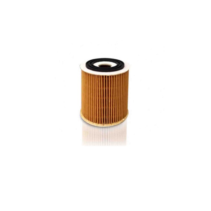 142614-large_default.jpg Filtro Olio Fiat 500x 1.6 2014 11-2019 12 Tecneco