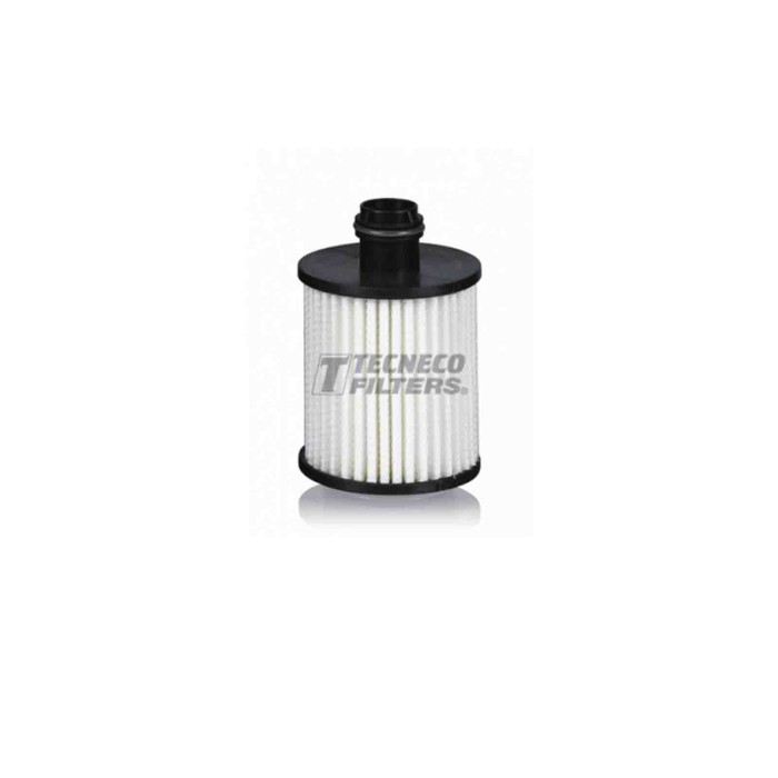 142103-large_default.jpg Filtro Olio Fiat Doblo Pianale Piatto Telaio 2016 03-2019 12 Tecneco