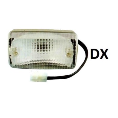 DX_SCRITTA_LOGO.jpg Retronebbia Retromarcia Per Fiat 126 / 126 Bis Lato Destro Dal 1972/01 Al 1982/12