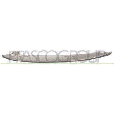 BM0482128_1.JPG Modanatura Verniciata Argento Per Griglia Sinistra Per Bmw 5 Series - F10/f11 Dal 2010 Al 2013
