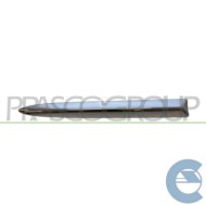 PRASCO FT0302103 MODANATURA ANTERIORE DESTRA CROMATA LOGO SPECIFICA PER 500 DAL 2007 AL 2015.