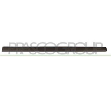 FT1221403_1.JPG Modanatura Porta Anteriore Destra Per Fiat Panda Dal 2003 Al 2011