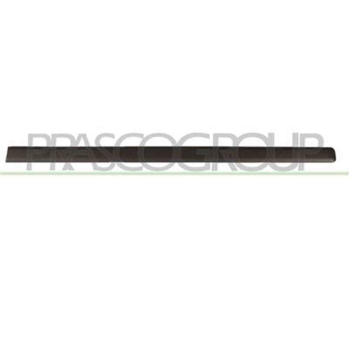 FT1221403_1.JPG Modanatura Porta Anteriore Destra Per Fiat Panda Dal 2003 Al 2011