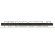 FT1221403_1.JPG Modanatura Porta Anteriore Destra Per Fiat Panda Dal 2003 Al 2011