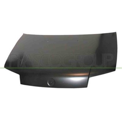 FT1333100_1.JPG Cofano Per Fiat Punto Dal 1999 Al 2003