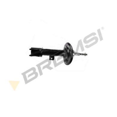 SA0725.JPG Ammortizzatore Anteriore Destro Citroen C4 Ii Cassone / Coda Spiovente (nc) A Doppio Tubo Sa0725 52080000000 Bremsi