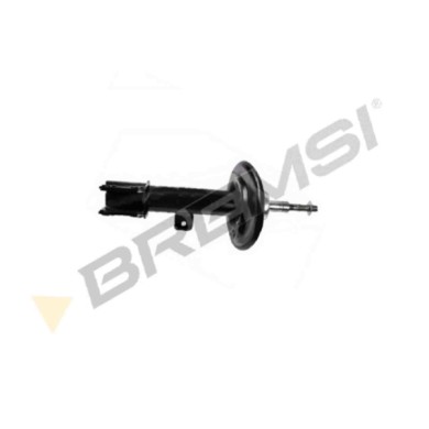 SA0726.JPG Ammortizzatore Anteriore Sinistro Citroen C4 Ii Cassone / Coda Spiovente (nc) A Doppio Tubo Sa0726 5208000000 Bremsi