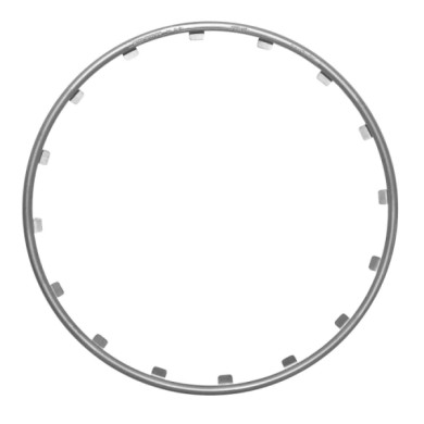 RR17101-S-01.JPG Rim RingzT Ø 17" Argento Rim Ringz Protezione/estetica
