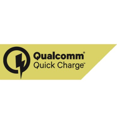 38924-S-01.JPG Caricabatteria Da Rete Con 1 Porta Usb Qualcomm Quick Charge 3000 Ma 100/230v Caricabatteria Usb 100/230v