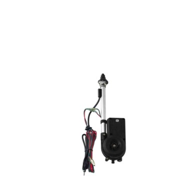 40281-C-01.JPG Antenna Elettrica Automatica Antenne Am/fm/gps Antenne