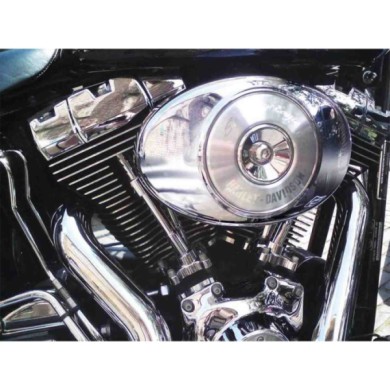 37359-S-01.JPG Pro Clean Set 5 Spazzole Multiuso Spazzole Lavaggio Lavaggio