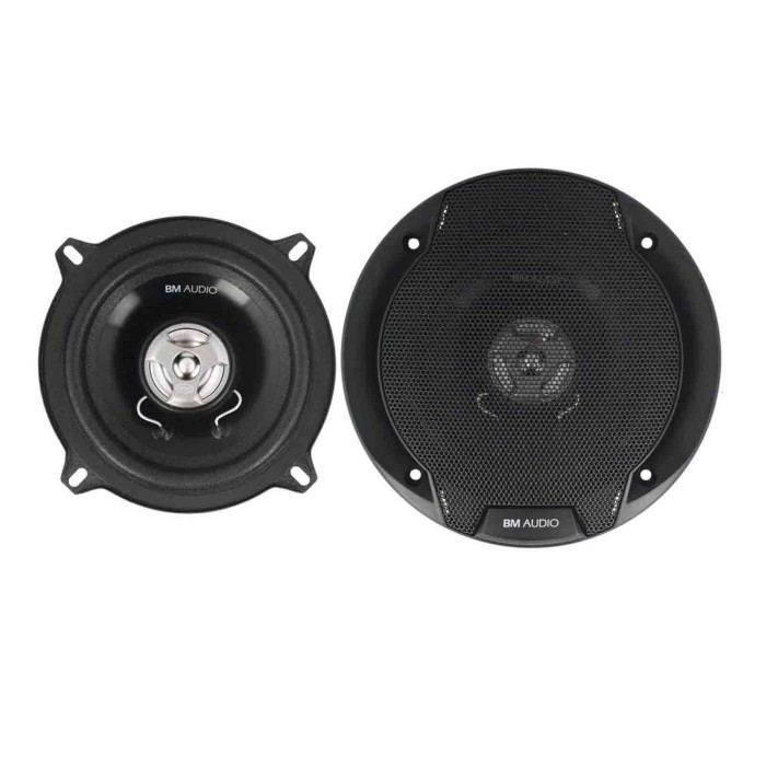 40483-C-01.JPG Xw 532fr Ø 130 Mm 250w Altoparlanti 2 Pz Altoparlanti Hi Fi