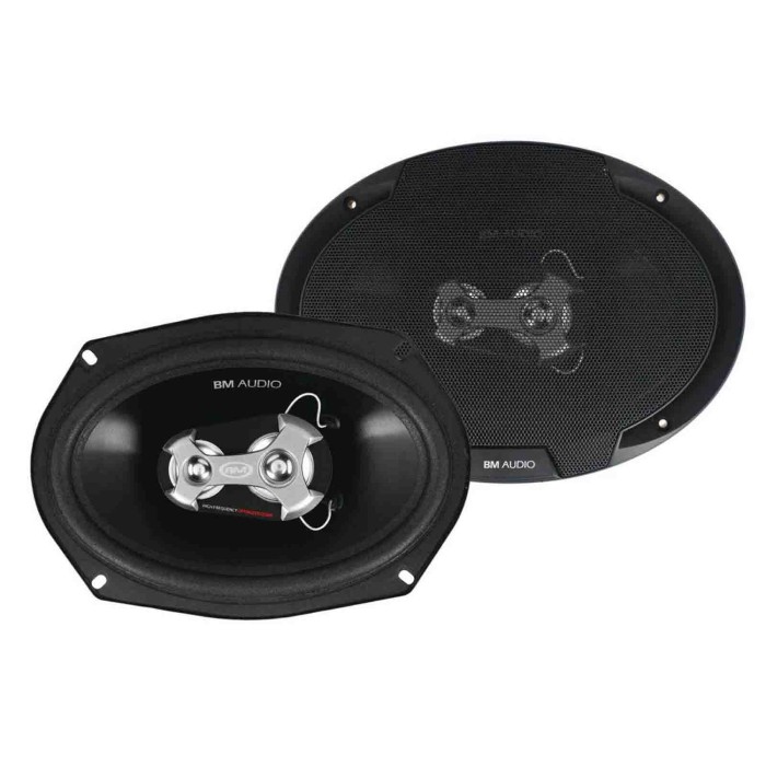 40485-C-01.JPG Xw 934fr 160x225 Mm 400w Altoparlanti 2 Pz Altoparlanti Hi Fi