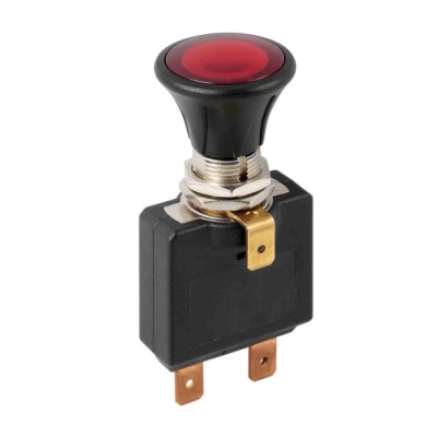 45569-D-01.JPG Interruttore Tira Spingi Con Spia A Led 12/24v 50a Interruttori E Relè Cablaggio Elettrico