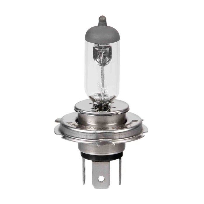L161.JPG 12v Lampada Alogena H19 60/55w Pu43t 3 1 Pz Scatola Lampadine Standard Line Lampa Alogene