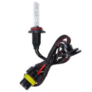 12/24v Lampadina Hid Xenon 8.000k H10 1 Pz Scatola Hid Xenon Componibili Lampa Xeno